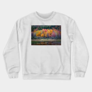 Burst of Fall Crewneck Sweatshirt